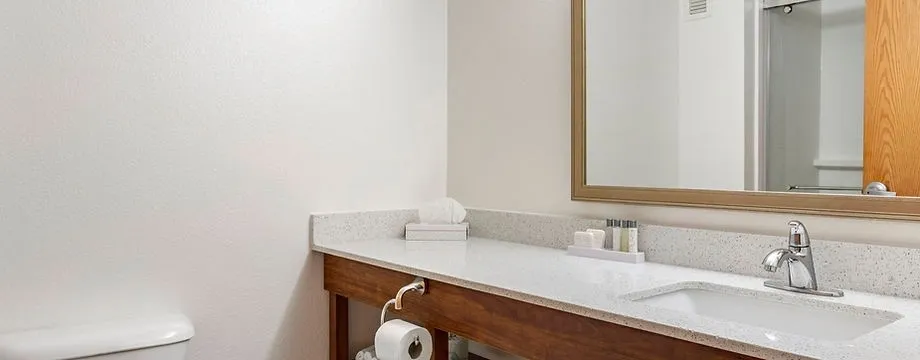 Toilet in luxury hotel