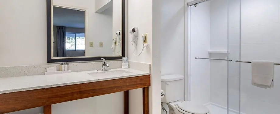 Modern toilet in luxury home